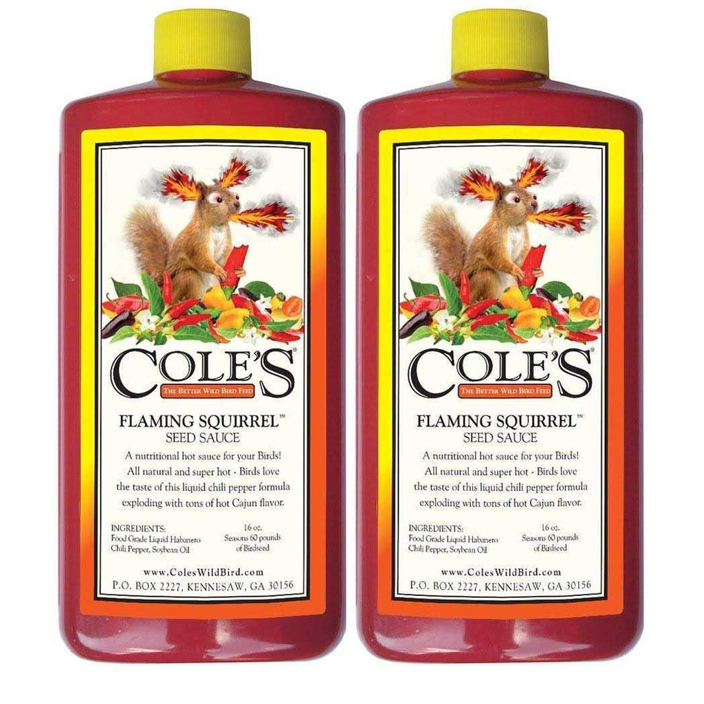 Seed Sauce Y95981